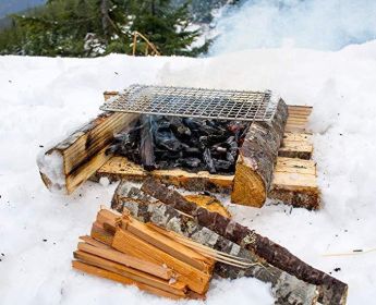 Wood burning grill