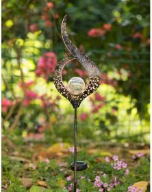 Solar Outdoor lights stake