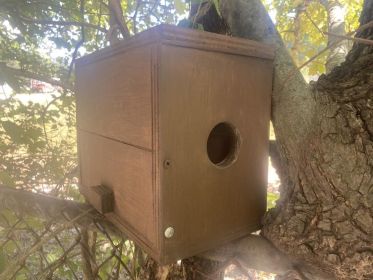 squirrel box