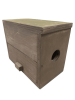 squirrel box