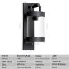 Dusk to dawn outdoor light fixture