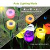 Solar garden tulip flower lights