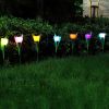 Solar garden tulip flower lights