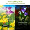 LIFELIKE LILY FLOWER SOLAR GARDEN LIGHTS