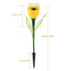 Solar garden tulip flower lights