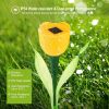 Solar garden tulip flower lights