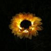 Solar LED sunflower lights