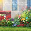 Solar garden tulip flower lights