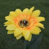 Solar LED sunflower lights