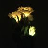 3 LED rose flower lights and one bud