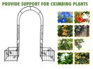 Elegant garden arch