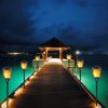 Flickering LED Tiki torches