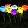 Solar garden tulip flower lights