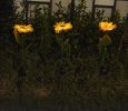 Solar LED sunflower lights
