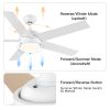 52 in. Outdoor/Indoor Integrated Light Kit Glam Matte White Ceiling Fan with 5 Revesible Plywood Blades, Remote Control